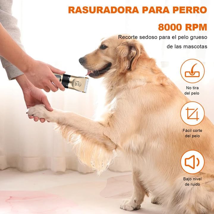 Kit de Aseo Profesional para Mascotas✂️