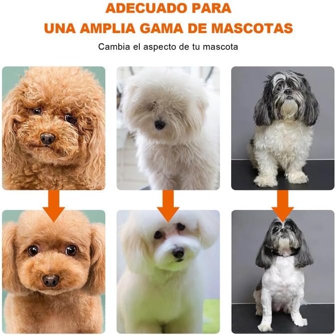 Kit de Aseo Profesional para Mascotas✂️